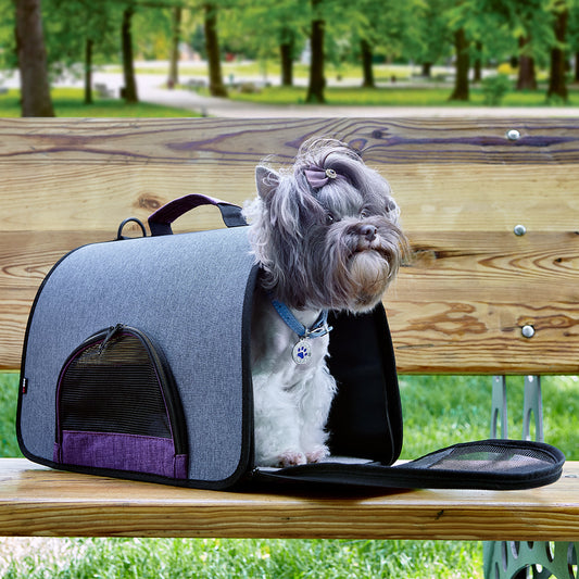 Dogline Dual Color Collapsible Pet Carrier