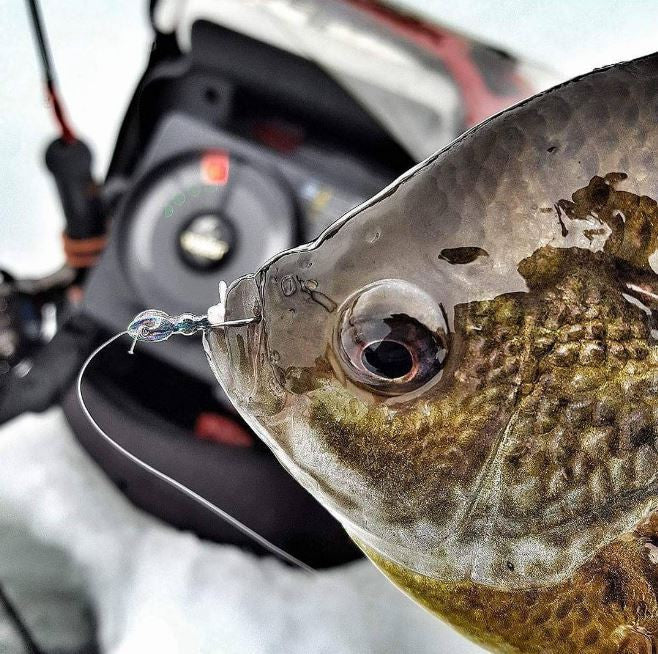 Kenders - Metallic Rainbow Ant Tungsten Jig