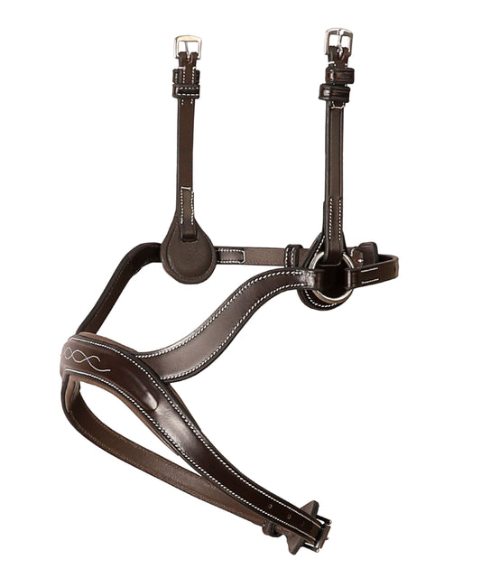 Bridles & Reins Replacement Noseband of ExionPro Anatomical Combined Flash Bridle with Reins