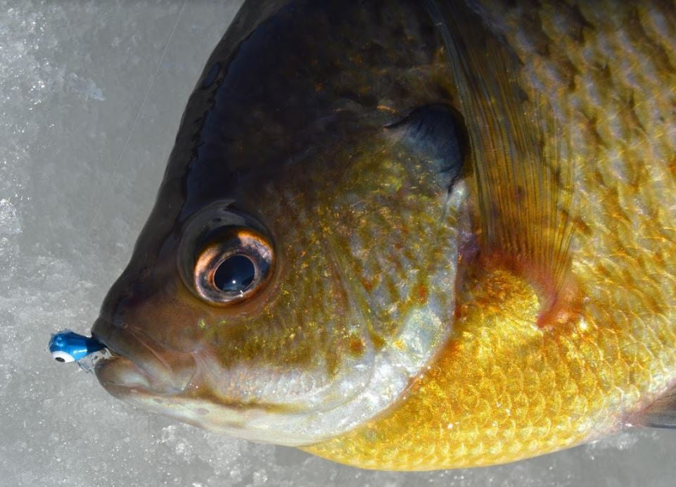 Kenders - Dark Blue Glow Tungsten Jig