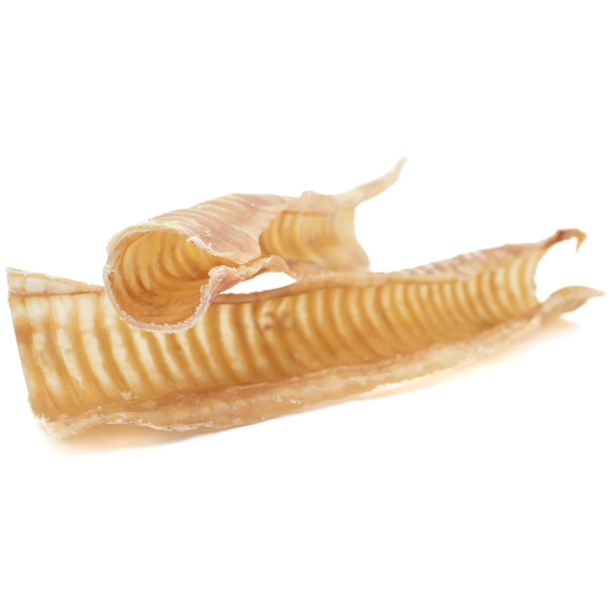 Bully Bunches - 12 Inch Beef Trachea