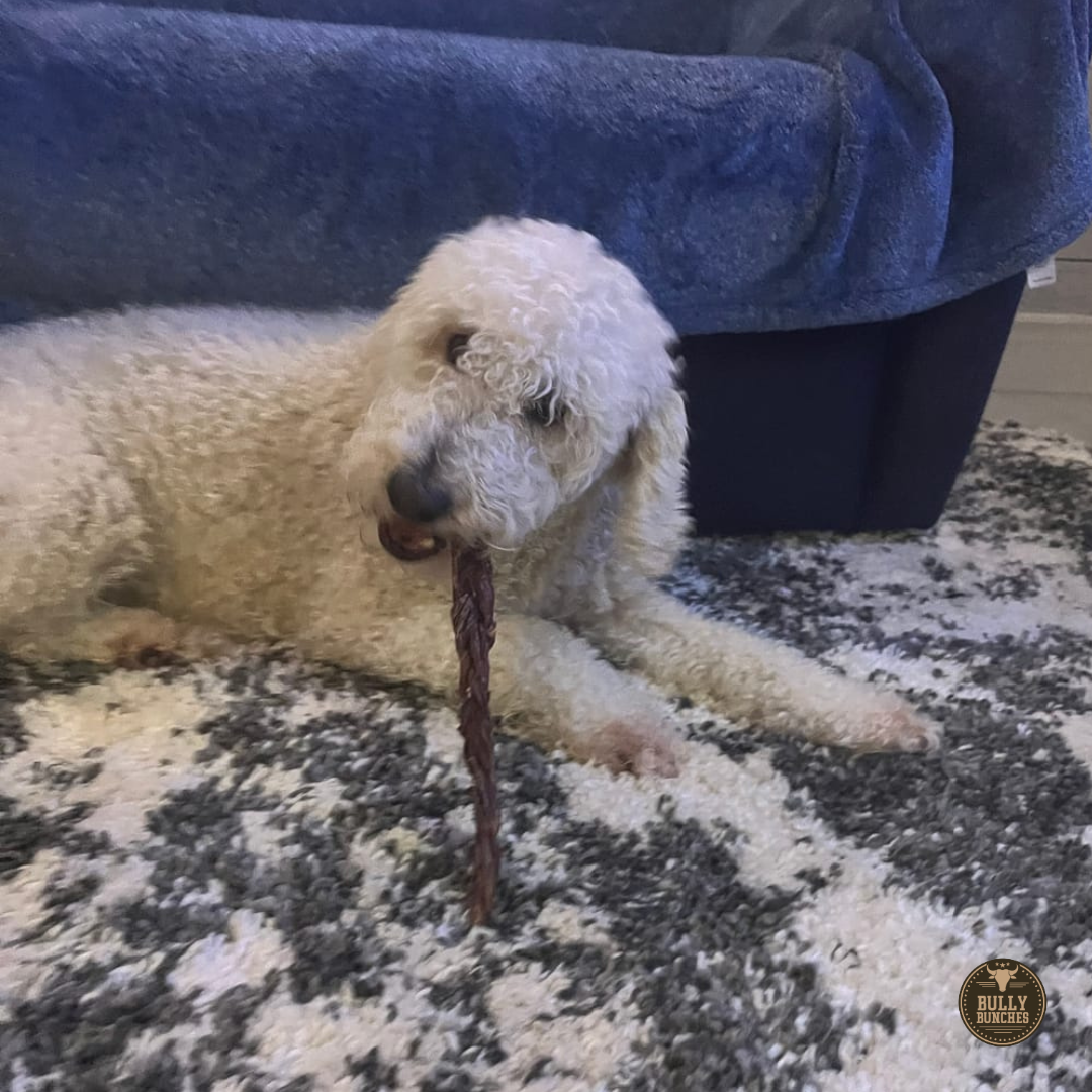 Bully Bunches - 12 Inch Braided Jerky Stick