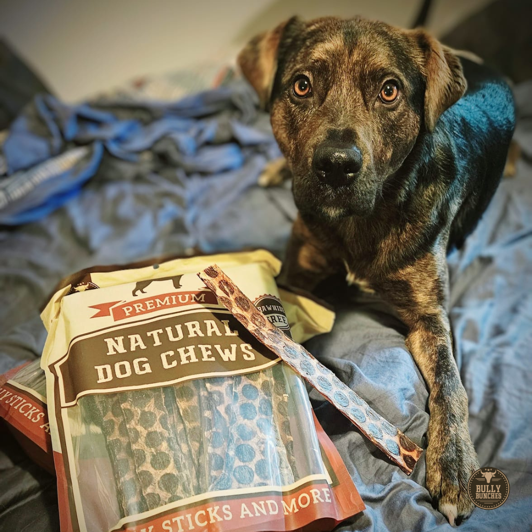 Bully Bunches - 12 Inch Beef Jerky Strip