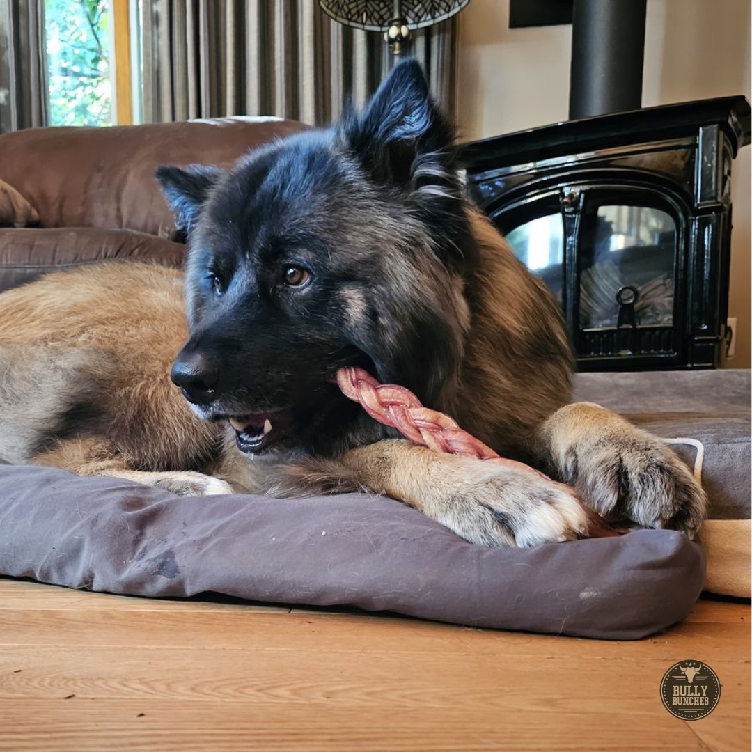 Bully Bunches - 12 Inch Thick Braided Bully Stick