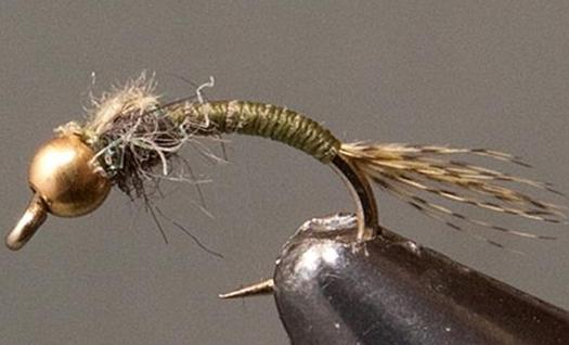 Stone Creek BH Olive WD-40