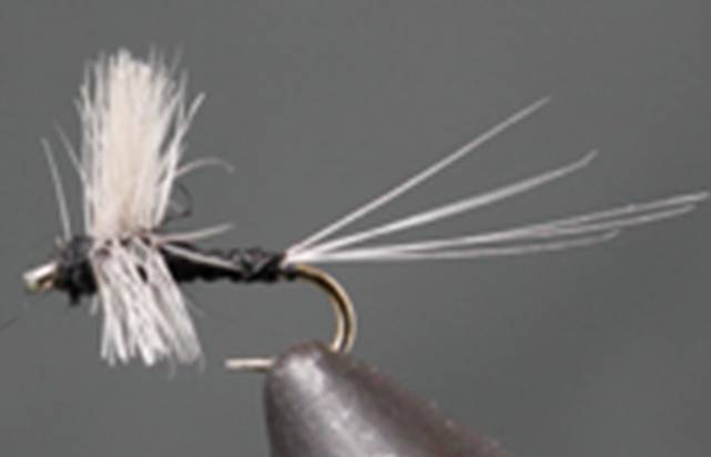 Stone Creek Trico Thorax
