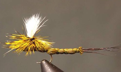 Stone Creek Green Drake Paradrake