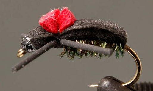 Stone Creek Red Top - Black Foam Beetle