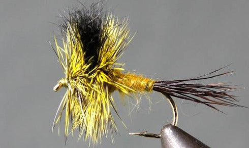 Stone Creek Green Drake Wulff