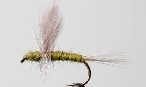 Stone Creek Blue Wing Olive - Thorax
