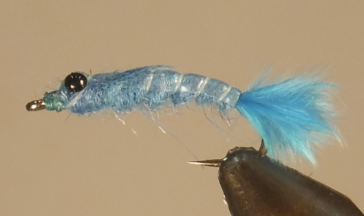 Stone Creek Blue Damselfly Nymph