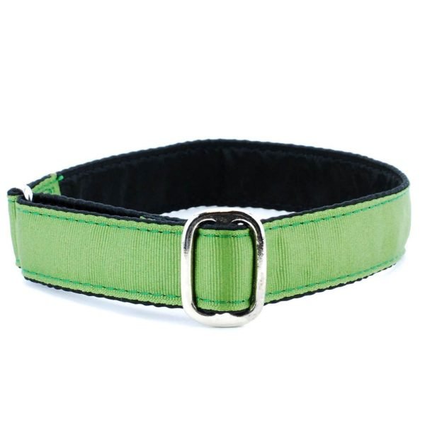 2 Hounds Design 1″ Grosgrain Jingle Free Tag Dog Collar - Angler's Pro Tackle & Outdoors