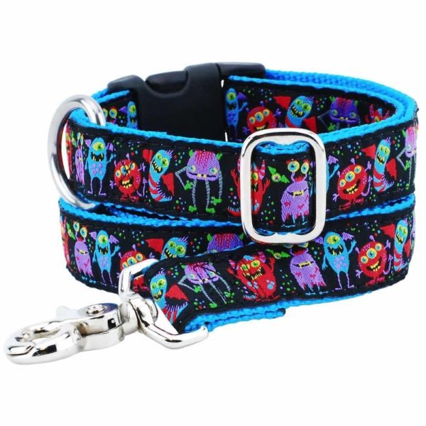 2 Hounds Design 1″ Monstro - City 5ft Essential Ribbon Dog Leash - Angler's Pro Tackle & Outdoors