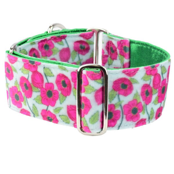 2 Hounds Design Bold Poppies Elite Velvet Buckle Martingale Dog Collar - Angler's Pro Tackle & Outdoors