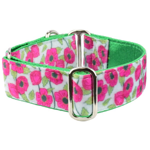 2 Hounds Design Bold Poppies Elite Velvet Martingale Dog Collar - Angler's Pro Tackle & Outdoors