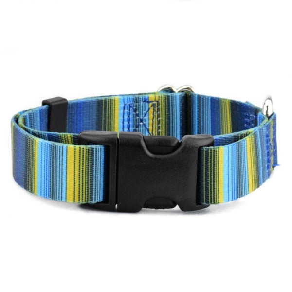 2 Hounds Design Clyde Dog Collar – EarthStyle - Angler's Pro Tackle & Outdoors