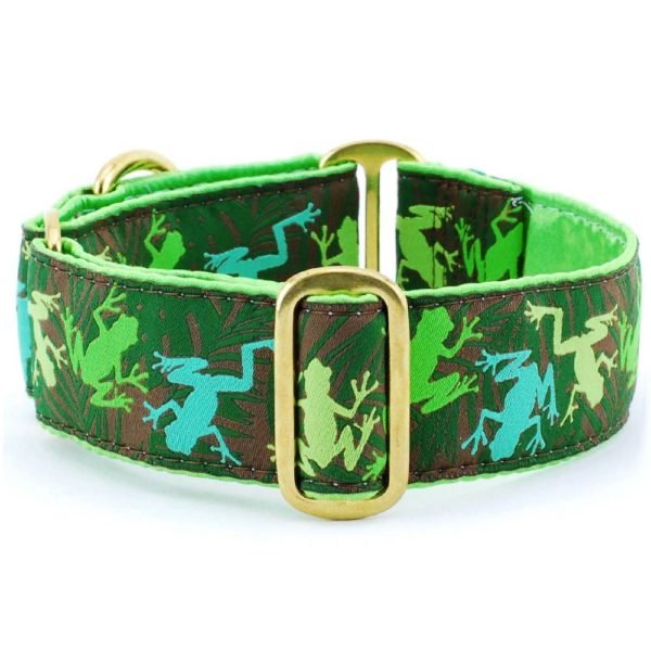 2 Hounds Design Coqui Jungle – Exclusive Dog Collar - Angler's Pro Tackle & Outdoors