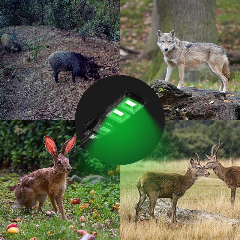 Langy Solar Green Feeder Light for Hunting -12,000 lumens