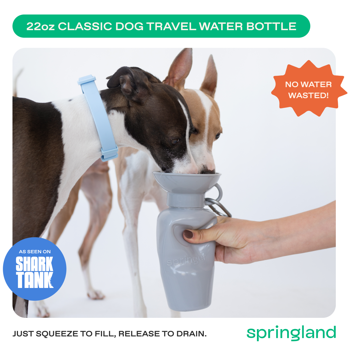 Springland Pets 22oz Original Dog Travel Water Bottle