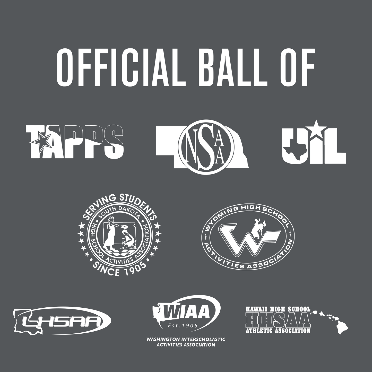 Baden Sports Perfection Game Softballs - 1 Dozen