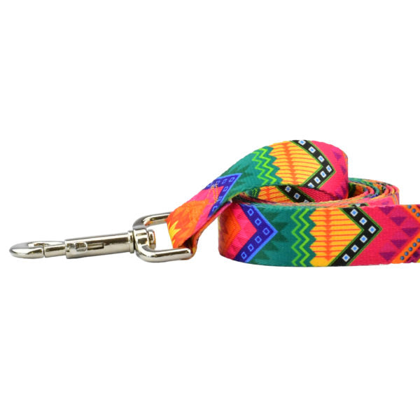2 Hounds Design BFF (Best Friends Forever) Dog Leash – EarthStyle