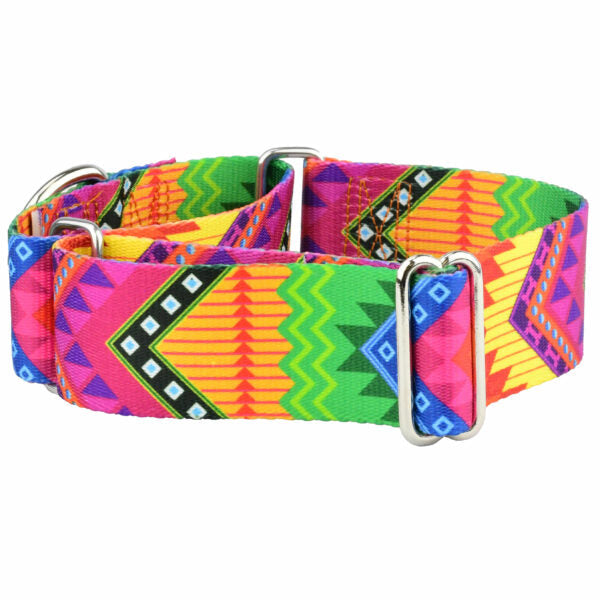 2 Hounds Design BFF (Best Friends Forever) Martingale Dog Collar – EarthStyle