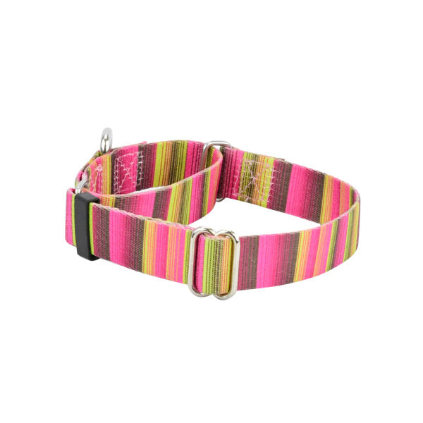 2 Hounds Design Bonnie Martingale Dog Collar – EarthStyle