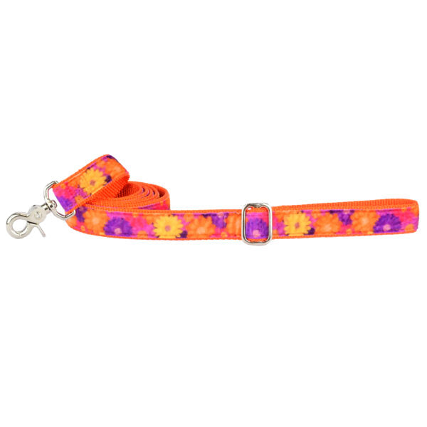 2 Hounds Design Gerbera Daisy Velvet Dog Leash (1″ Only)