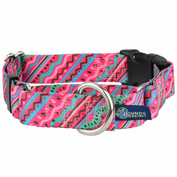 2 Hounds Design 1980’s Buckle Martingale Dog Collar – EarthStyle