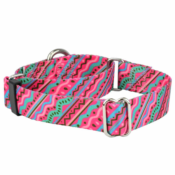 2 Hounds Design 1980’s Martingale Dog Collar – EarthStyle