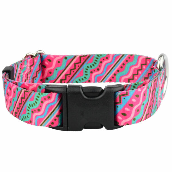2 Hounds Design 1980’s Dog Collar – EarthStyle