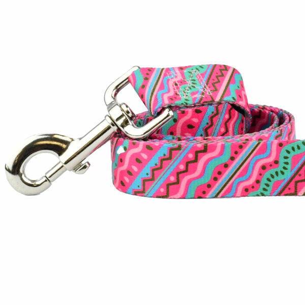 2 Hounds Design 1980s Dog Leash – EarthStyle