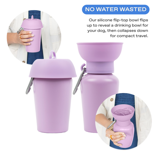 Springland Pets 20oz Flip Dog Travel Water Bottle
