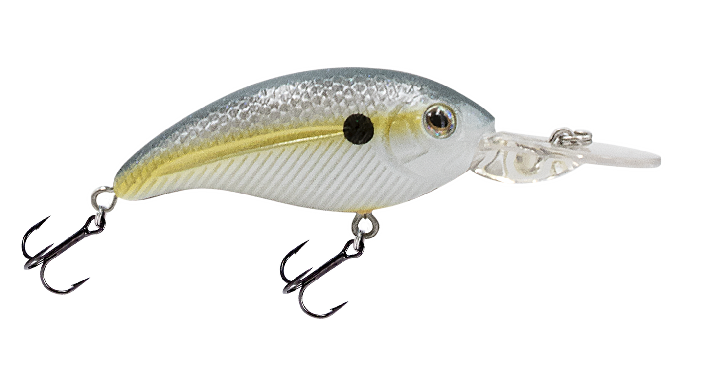 Livingston Lures Deep Impact 6
