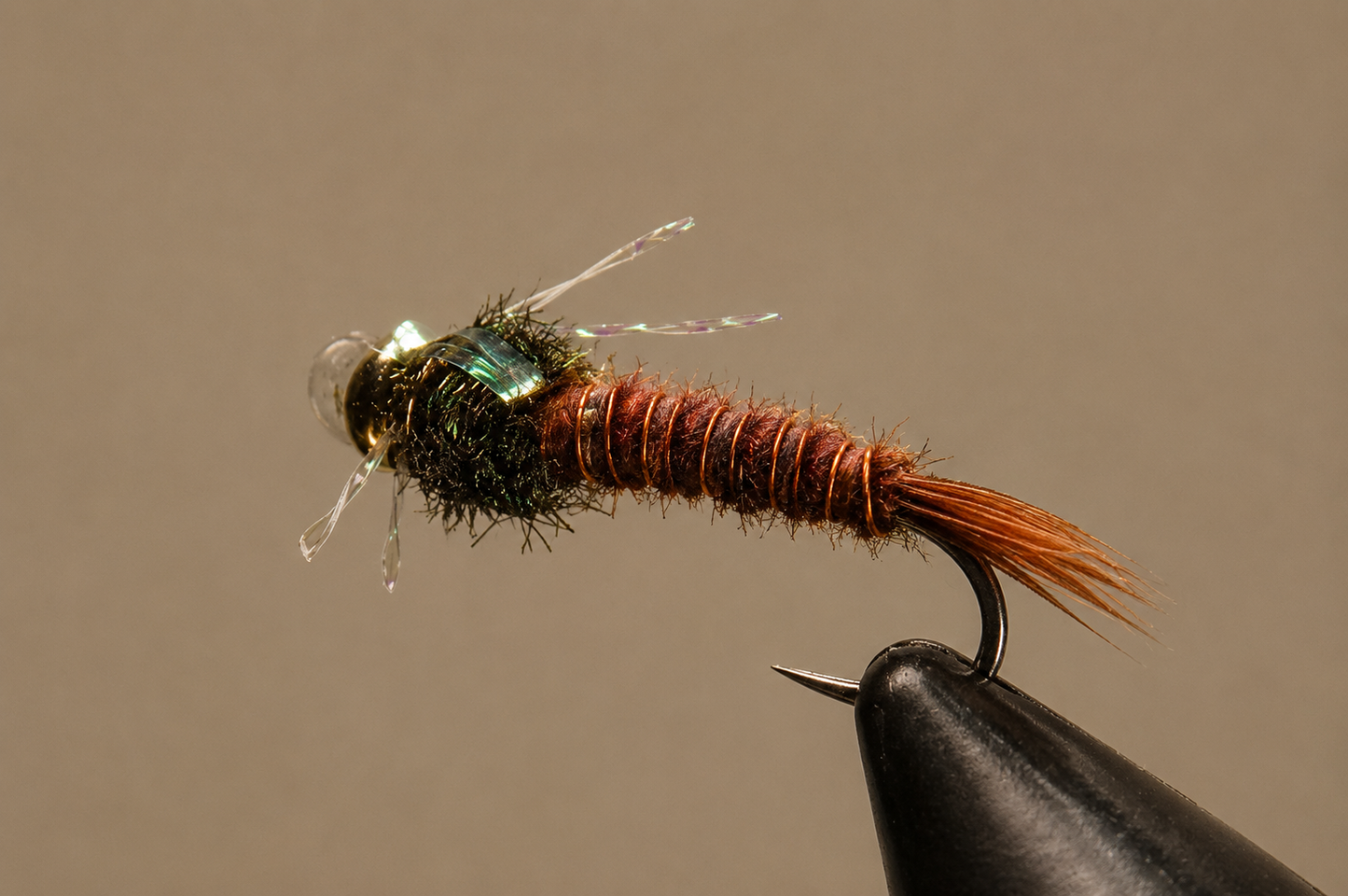 Stone Creek BH P.T. - Sparkle