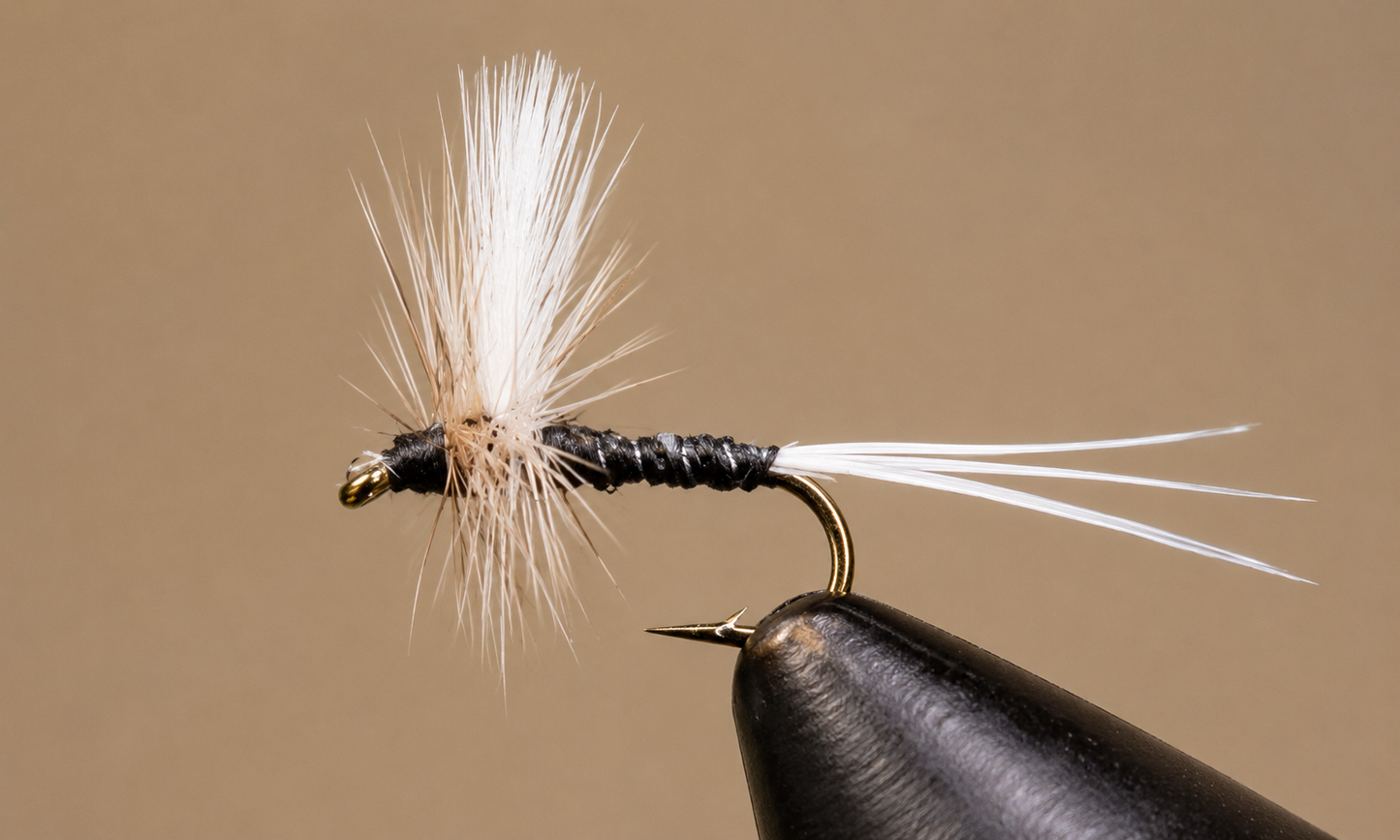 Stone Creek Trico