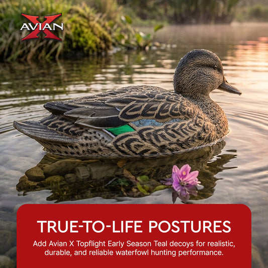 Avian X Topflight Early Season Teal with Realistic True to Life Postures, 6 Pack