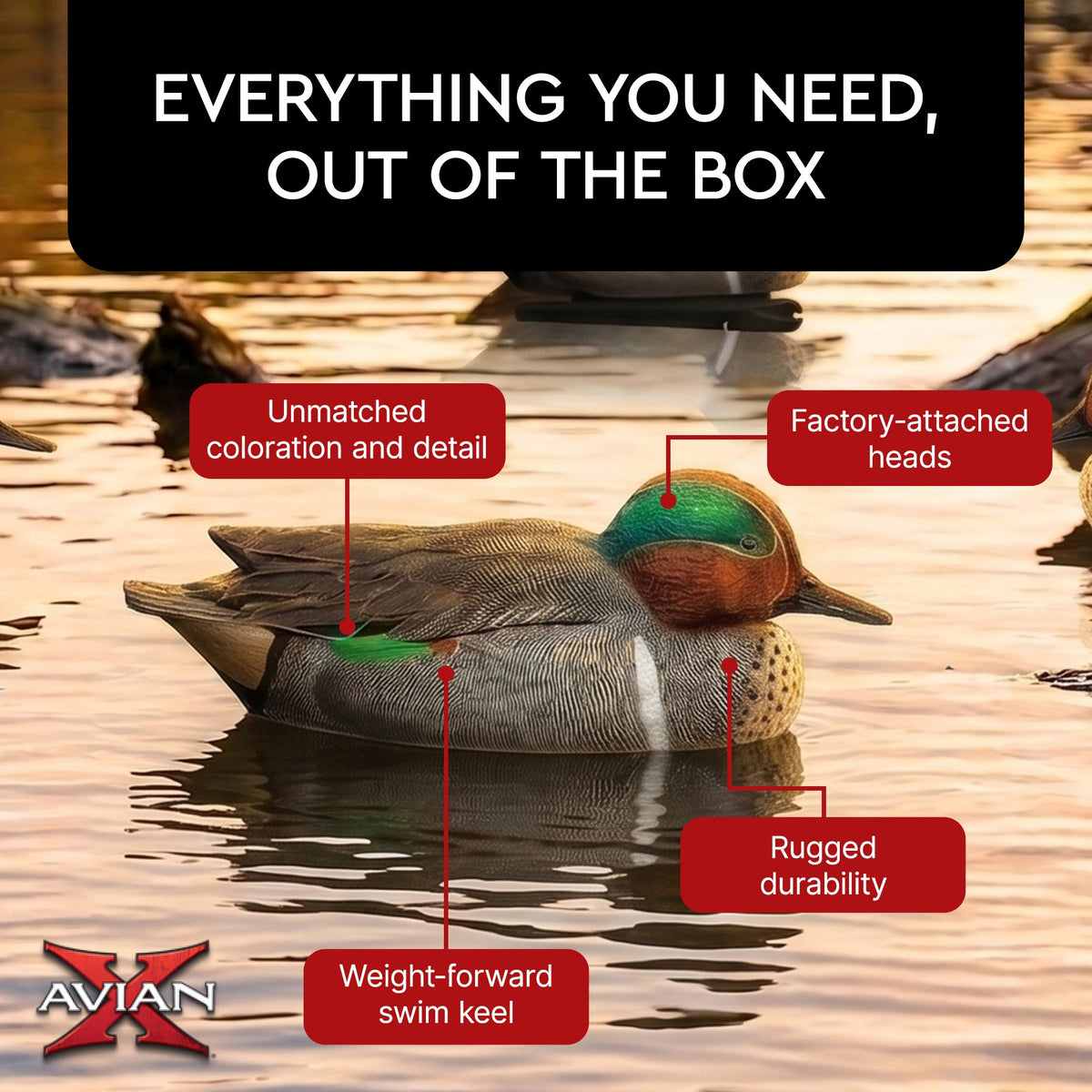 Avian X Topflight Green-Winged Teal Duck, Floating Decoys, Set of 6, Multicolor