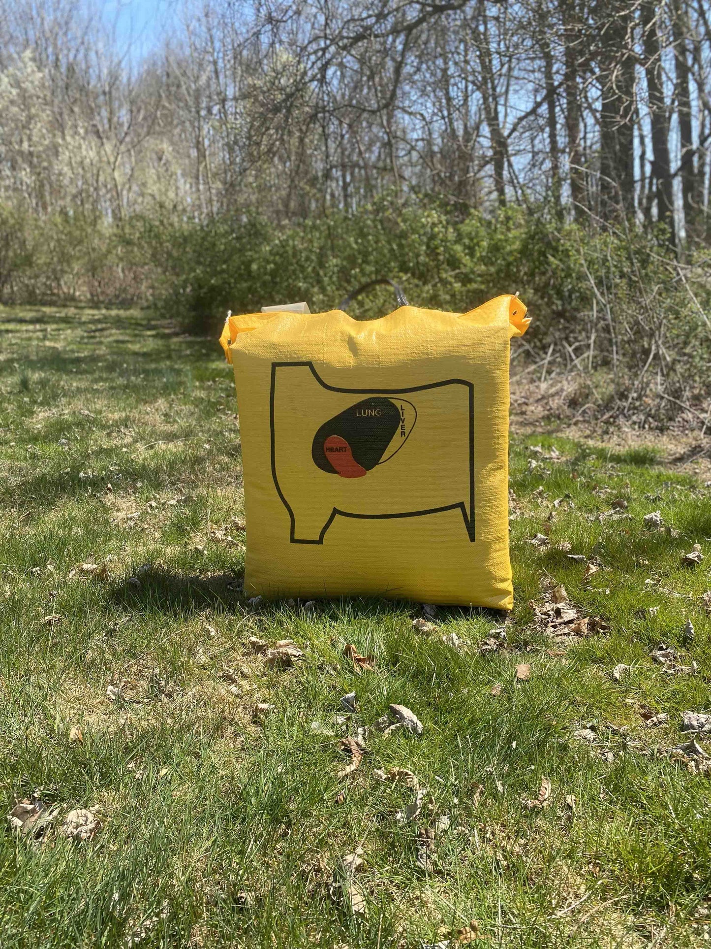 BIGshot Archery Ballistic 350 Archery Bag Target