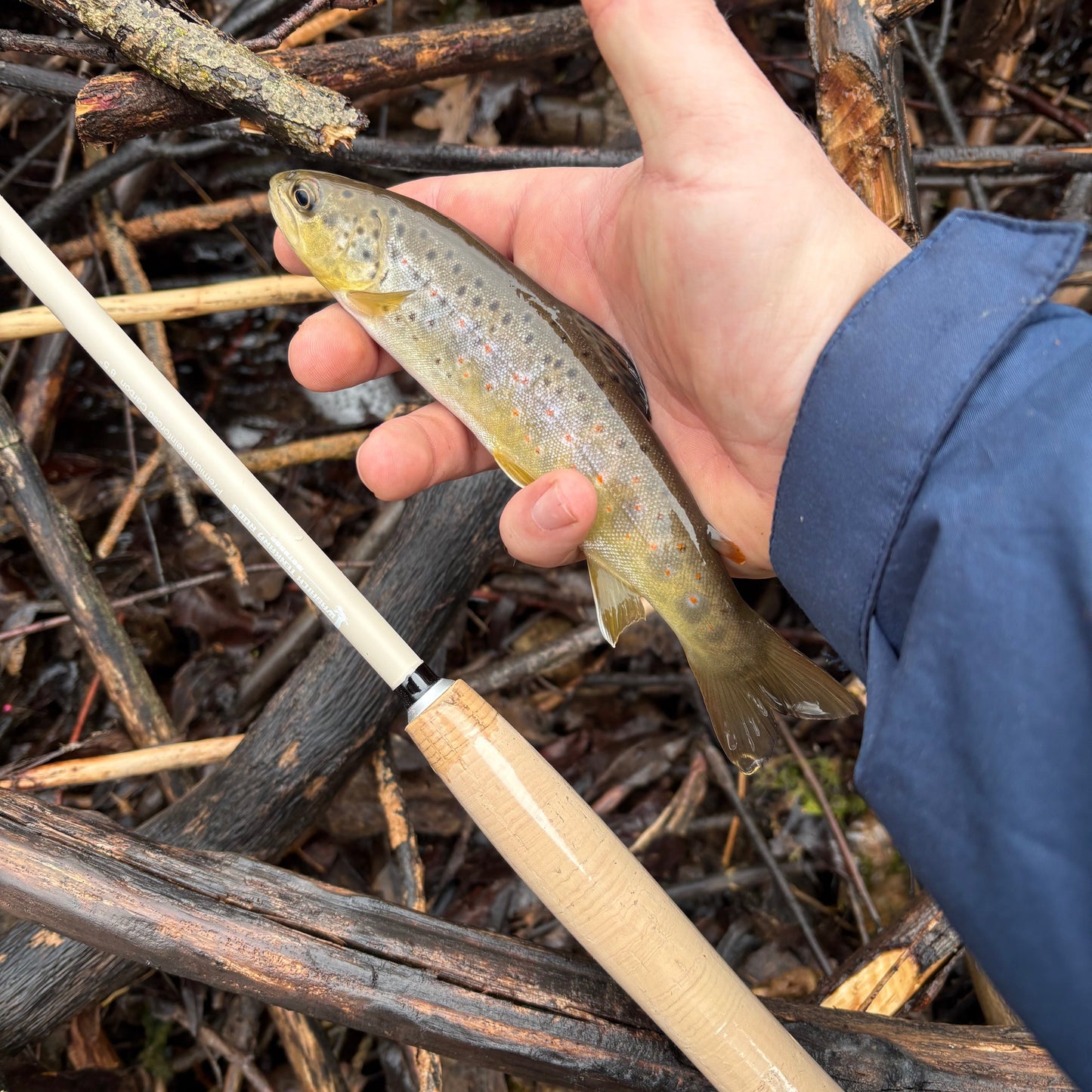 Wasatch Tenkara Rods MothRod