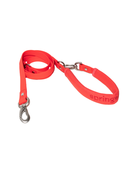 Springer Dog Leash