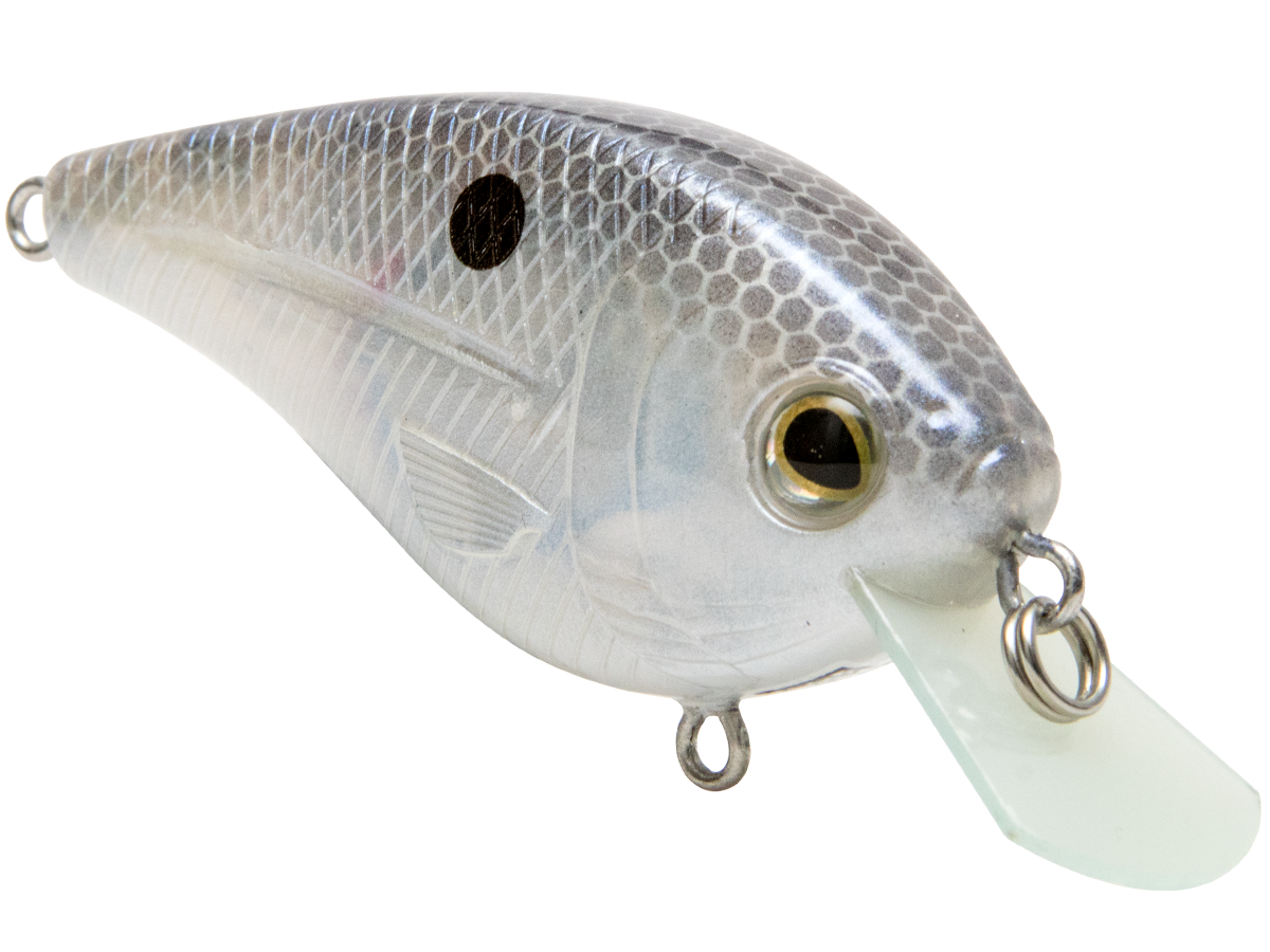 Livingston Lures FlatMaster SQ