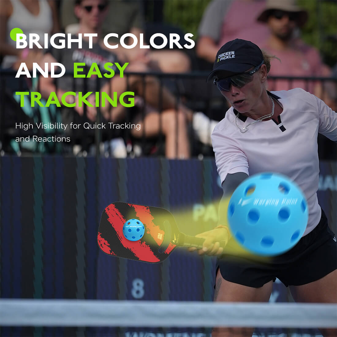 Warping Point Indoor Practice Pickleballs - Blue