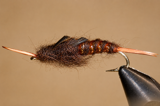 Stone Creek Giant Stonefly Nymphs
