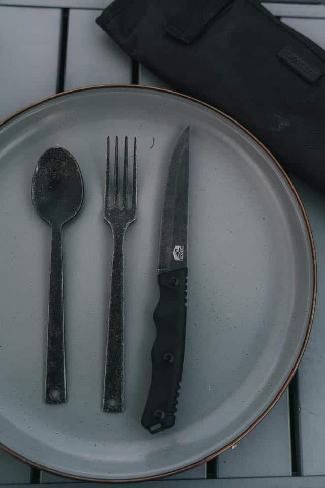 DFACKTO 4.5" Steak Knife Set with Case (4)