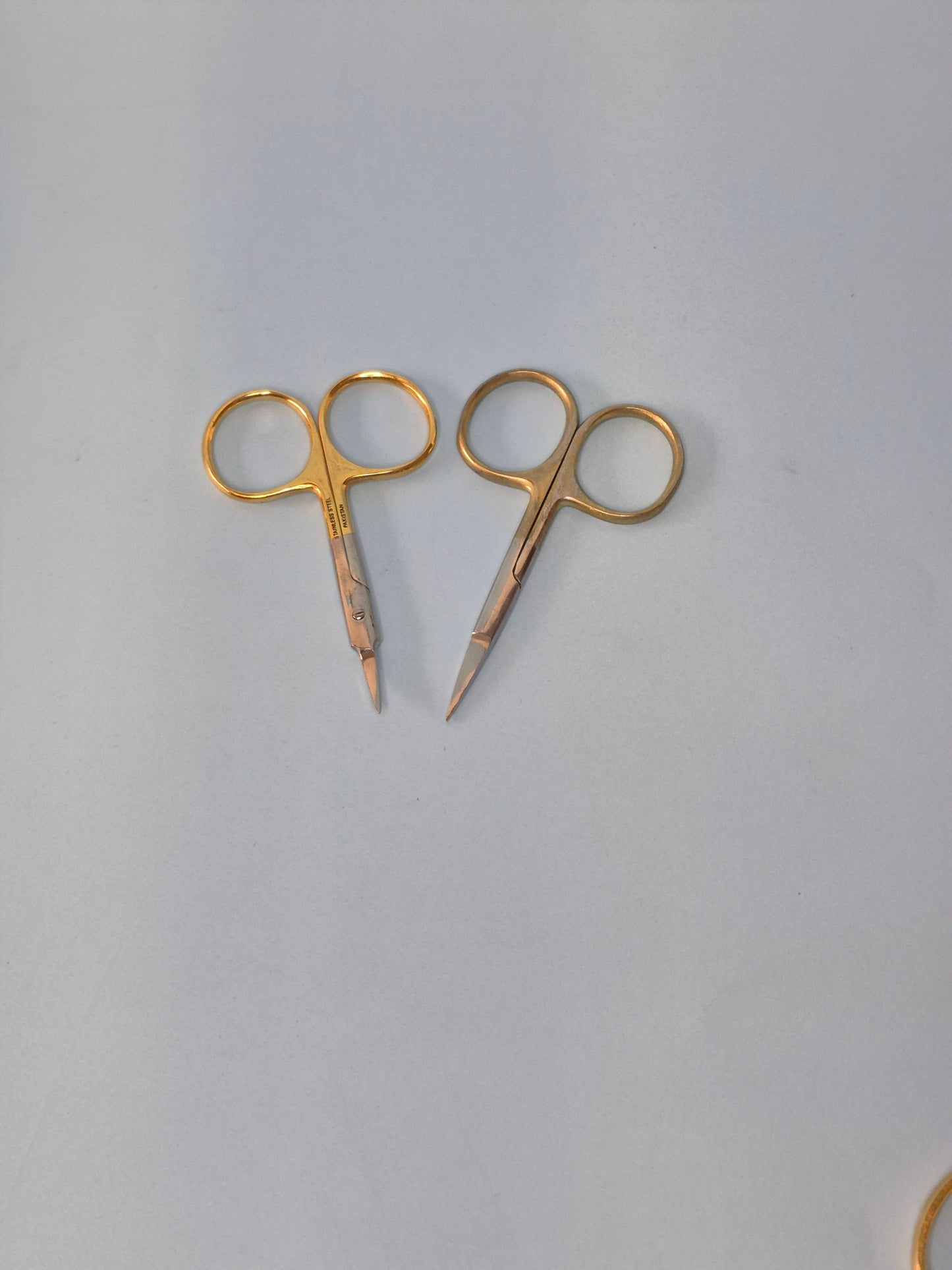 Tamsco Precision Tools Large Loops Scissors (4 styles)