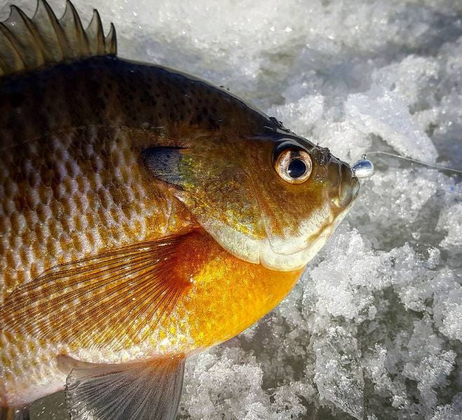 Kenders - Silver Tungsten Jig