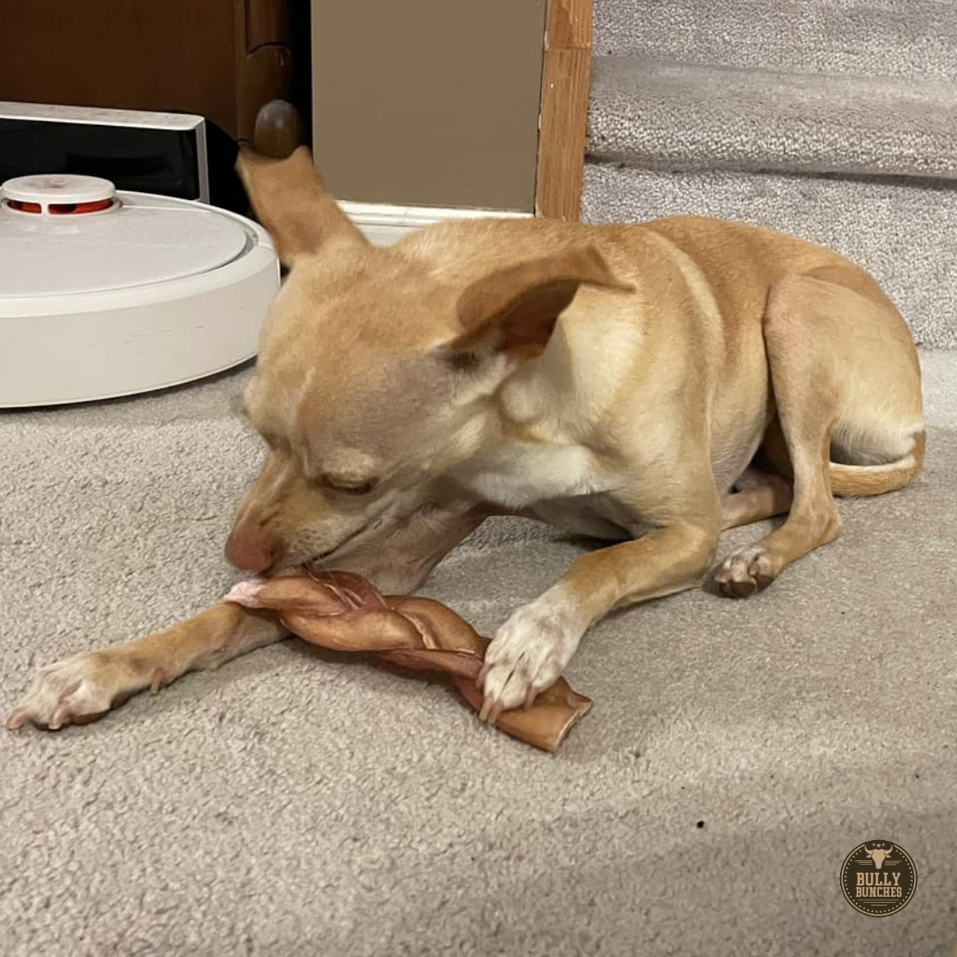 Bully Bunches - 6 Inch Thick Braided Bully Stick