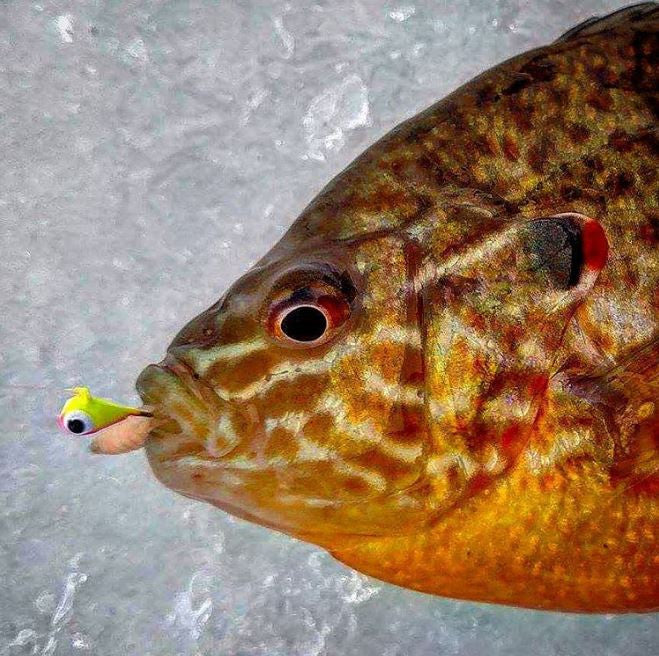 Kenders - Orange/Yellow Glow Tungsten Jig