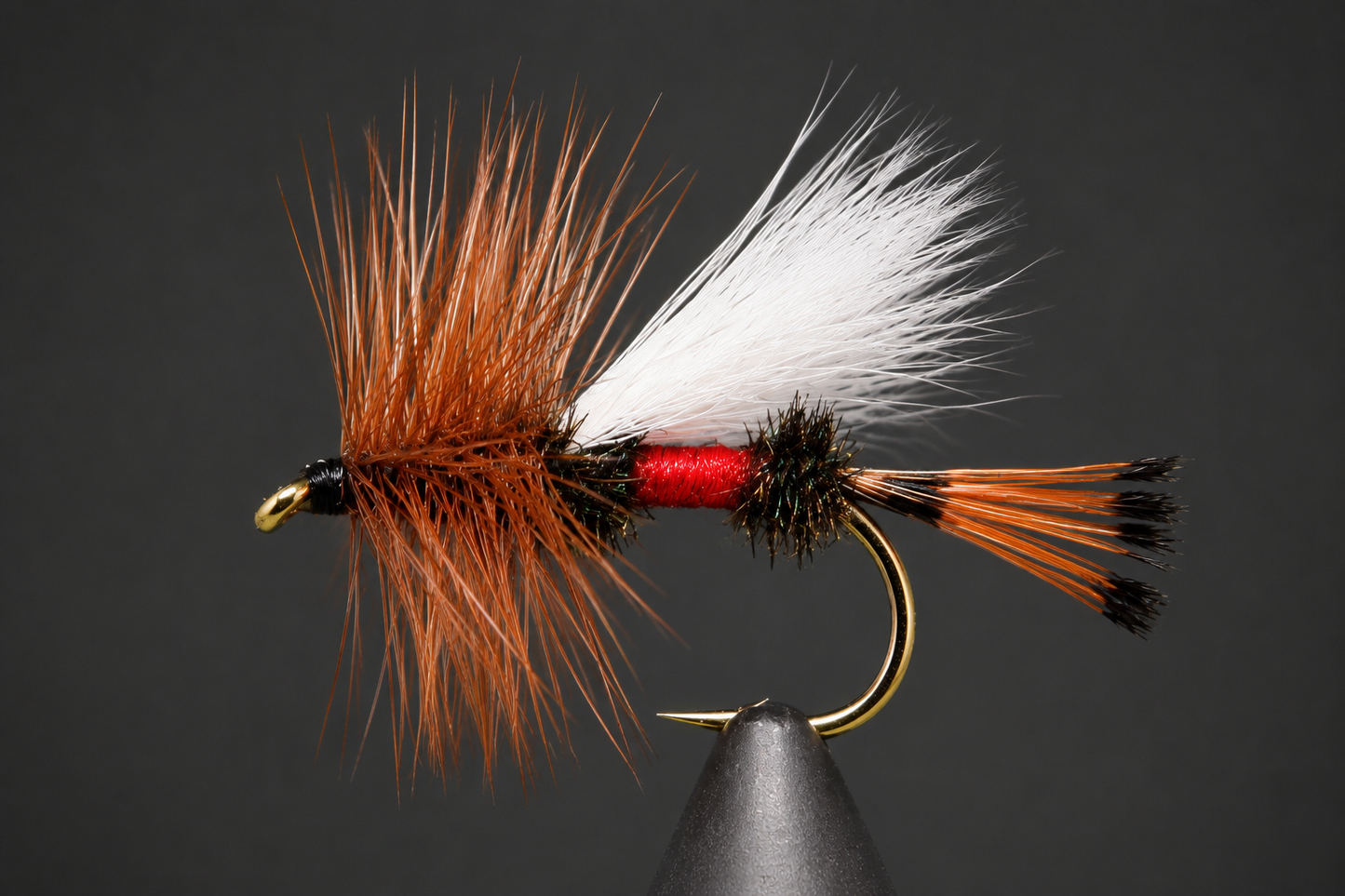 Stone Creek Royal Coachman - Trude